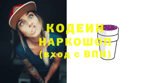 метадон Алексин