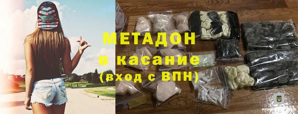 индика Алзамай