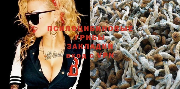 спайс Гусиноозёрск