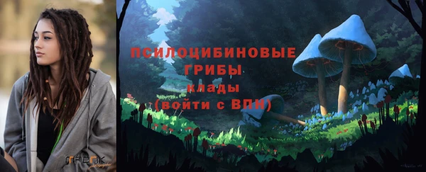 крисы Каменка