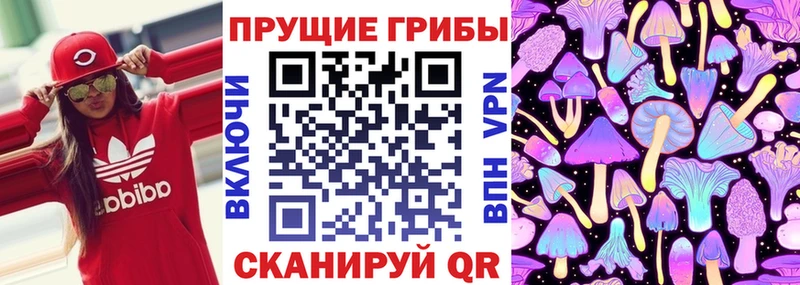 Галлюциногенные грибы Cubensis  где купить   Ревда 